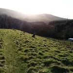 Myrtle The Yurt Coomleagh
