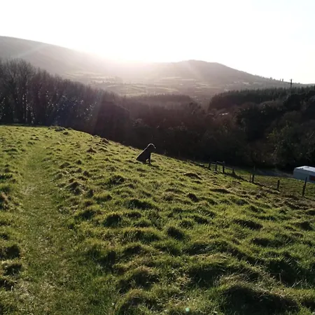 Myrtle The Yurt Coomleagh